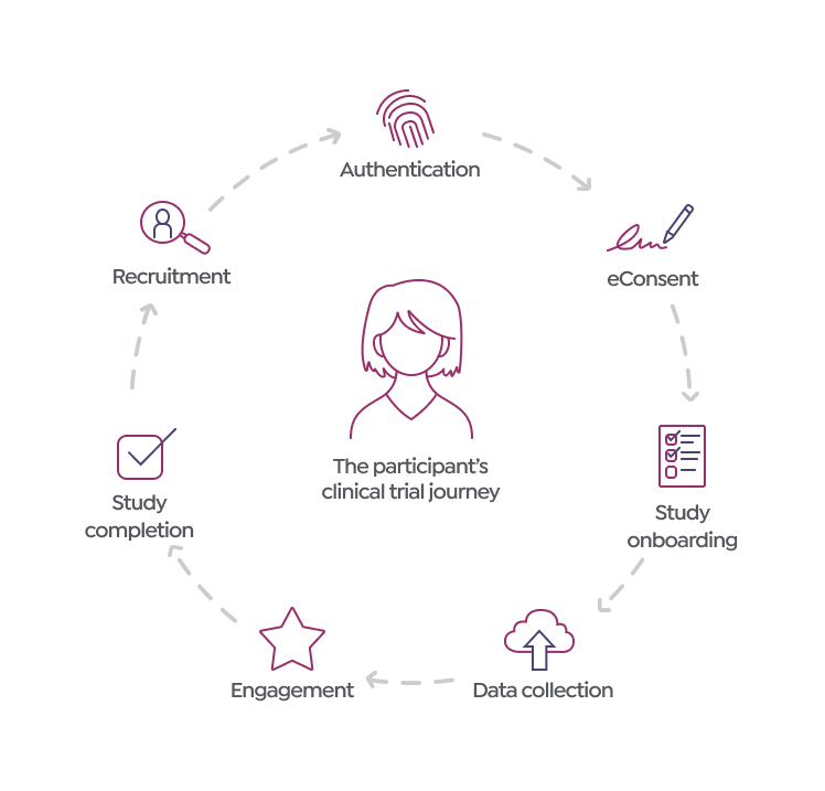 participant journey